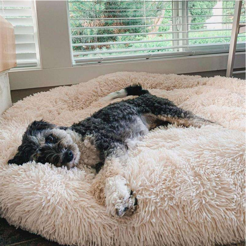 Coussin Anti-Stress pour chien