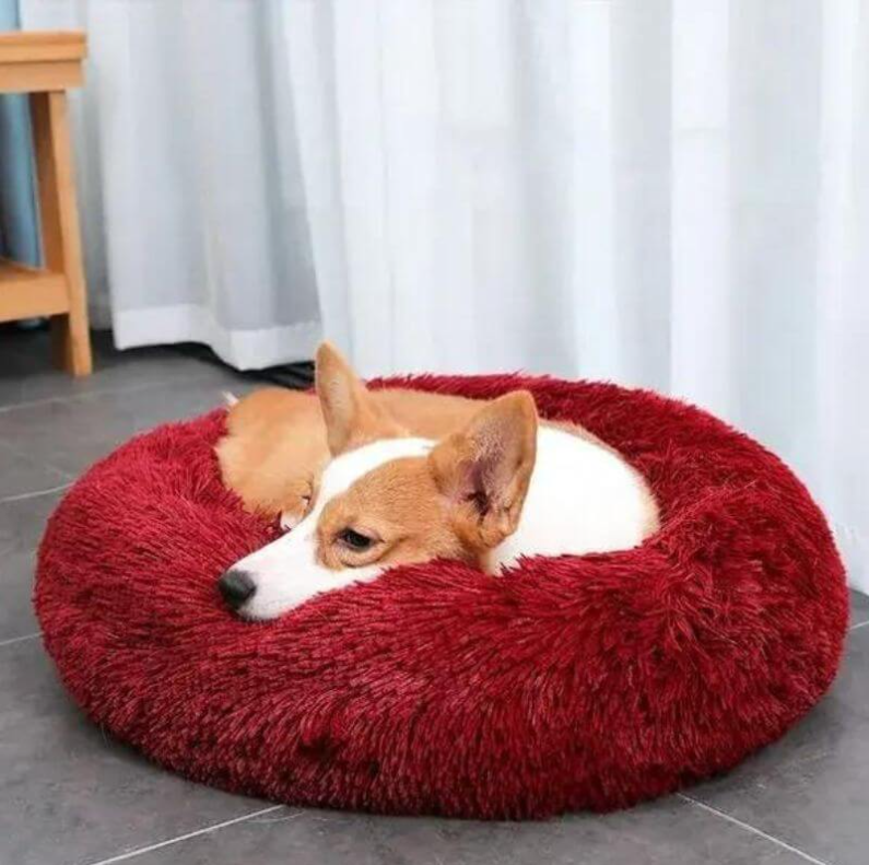 Coussin Anti-Stress pour chien