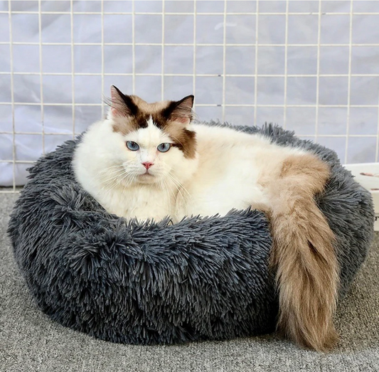 Coussin Anti-Stress pour chat