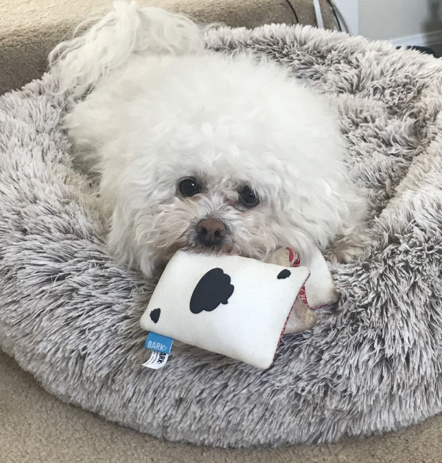 Coussin Anti-Stress pour chien